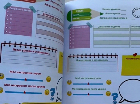 Красноярские педагоги создали дневники-планировщики для начальной школы					     title=