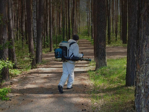 В Красноярске запретили прогулки в экопарках на несколько дней. Фото: эко-парк «Гремячая грива»