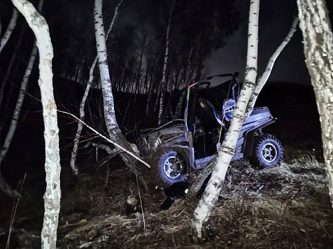 В Красноярске молодой человек на багги разбился насмерть в лесном массиве. Фото: ГАИ Красноярского края