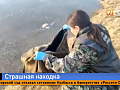 Расчленённое тело в клетчатой сумке — на берегу Чулыма нашли останки мужчины