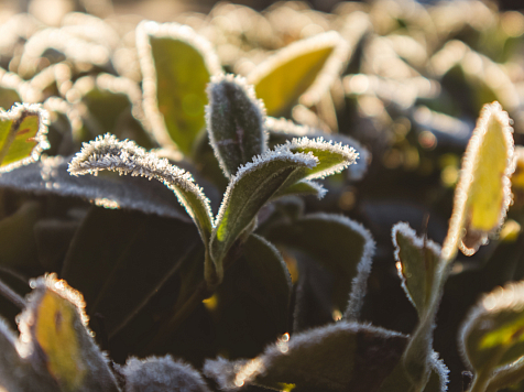 В Красноярске в субботу 13 мая ожидается дождь и похолодание до +8°C. Фото: ru.freepik.com