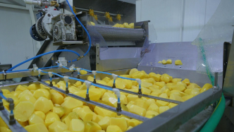Производство молочной продукции, овощей увеличилось на красноярском предприятии благодаря нацпроекту «Производительность труда». 