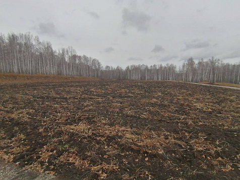 В Красноярском крае подрядчик сдал за 8 млн чистое поле вместо спортивной площадки. Фото: ГУ МВД по краю