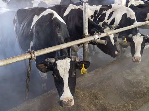 Владислав Зырянов: «Депутаты-аграрии выступают за конструктивный подход при регулировании тарифов ветеринарной службы»