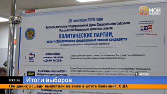 Рекордная явка — в Красноярском крае подвели предварительные итоги выборов