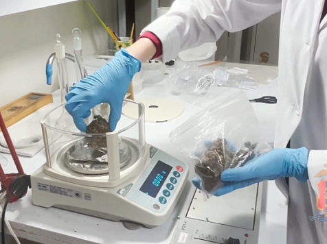 В Железногорске молодая пара влюбленных хранила наркотики дома у родителей. Фото: МВД 24