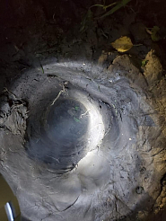 Пропавшую в Красноярском крае 8-летнюю девочку нашли мертвой в яме: она задохнулась