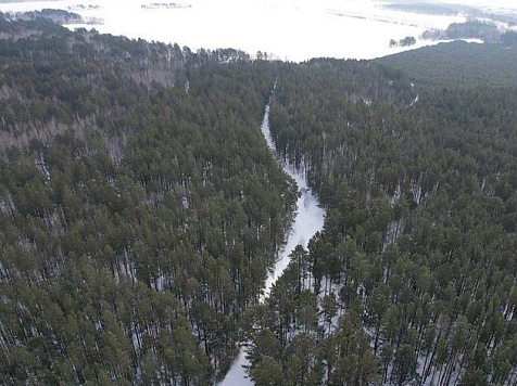 В Красноярске осудили предпринимателей, укравших леса на полмиллиарда рублей. Фото: правительство Красноярского края