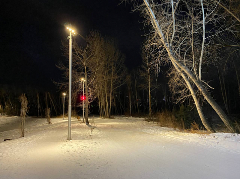 В Красноярске в праздничные дни с 31 декабря по 8 января высота снега достигла всего 8 сантиметров . Фото: Александр Рив