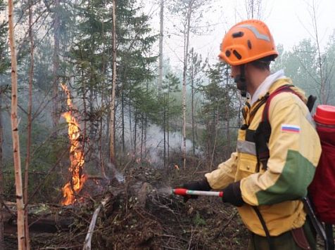 За выходные в Красноярском крае ликвидировали 10 лесных пожаров. Фото: krsk.aif.ru