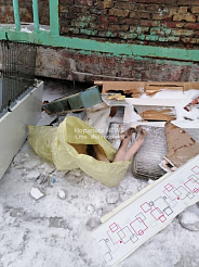 В Красноярском крае нашли жуткий пакет с торчащей рукой и ногами: очевидцы заглянули внутрь (18+)