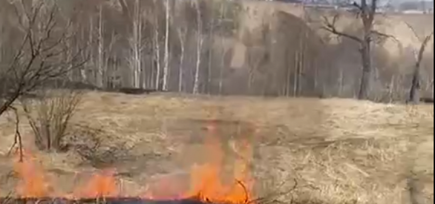 На красноярском острове Татышев специально утроили пожар
